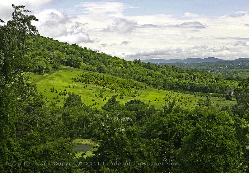 Glowing green hills meander off into the distance, bold clouds on horizon.